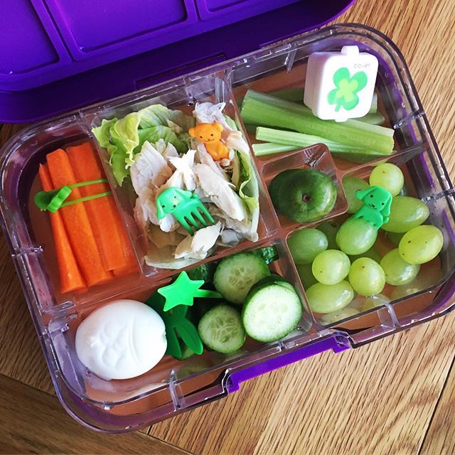 Fish & Car Egg Moulds – My Munchbox