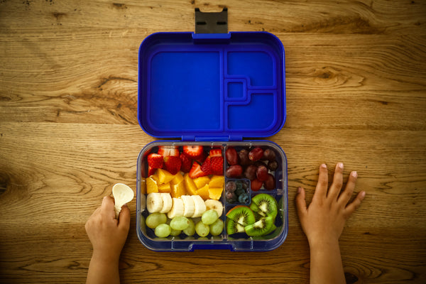 Munchbox Munch box bento bentobox mini mini4 yumbox midnight blue