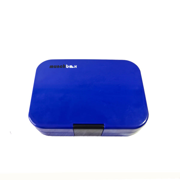Mini4 - Midnight Blue